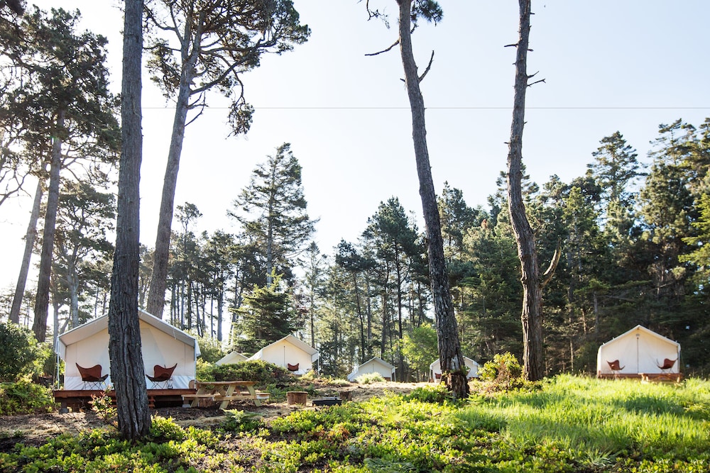 Mendocino Grove - photo 8
