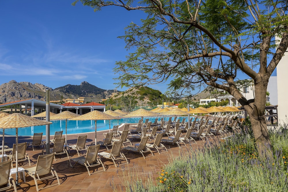 שטחי חוץ / גן