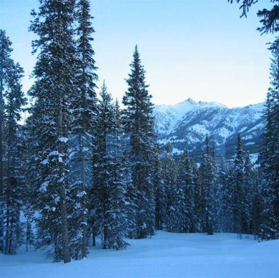 Beaverhead By Resort Property Management - photo 5