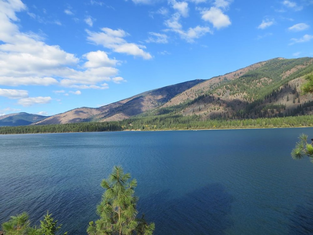 Lakeside Resort and Motel - photo 180
