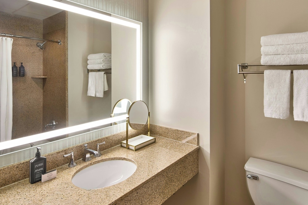 Sheraton Birmingham Hotel - photo 24