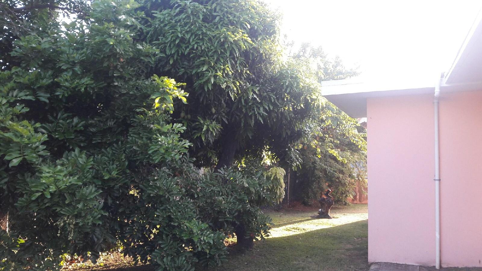 Camelia Rooms - last minute hotel in Kingston