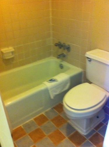 Gold Inn - photo 15