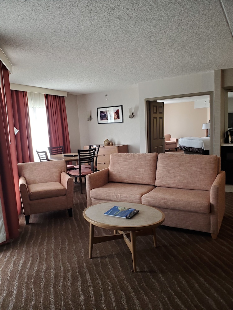 Embassy Suites by Hilton Phoenix Scottsdale - photo 12