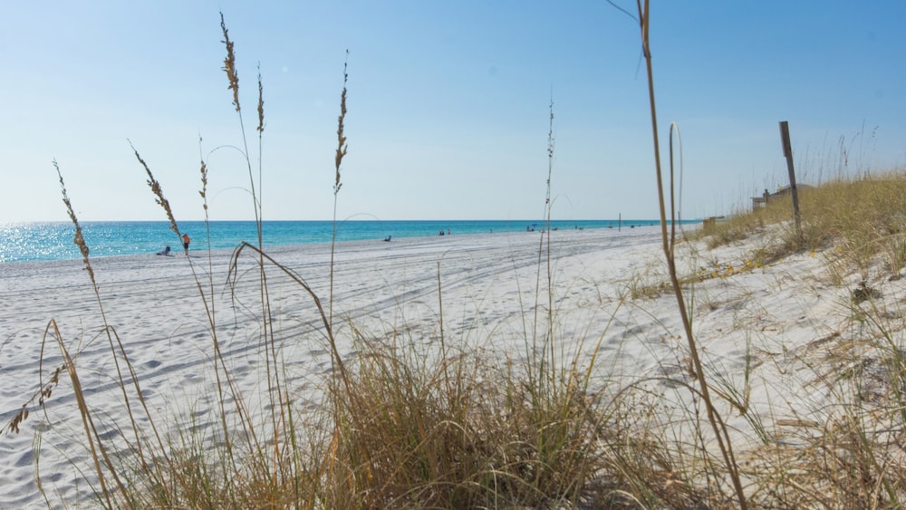 Beautiful 5th Floor Aqua Resort Unit With Direct Ocean Views Sleeps 8 - photo 46