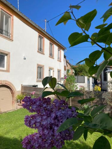 Gîte Le 1602 - last minute hotel in Unknown City