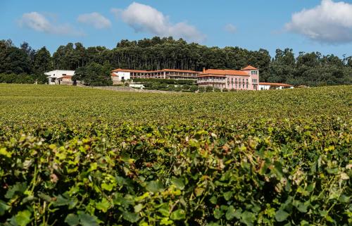Solar de Vila Meã — 4-Star Luxury Hotel in Barcelos, Portugal