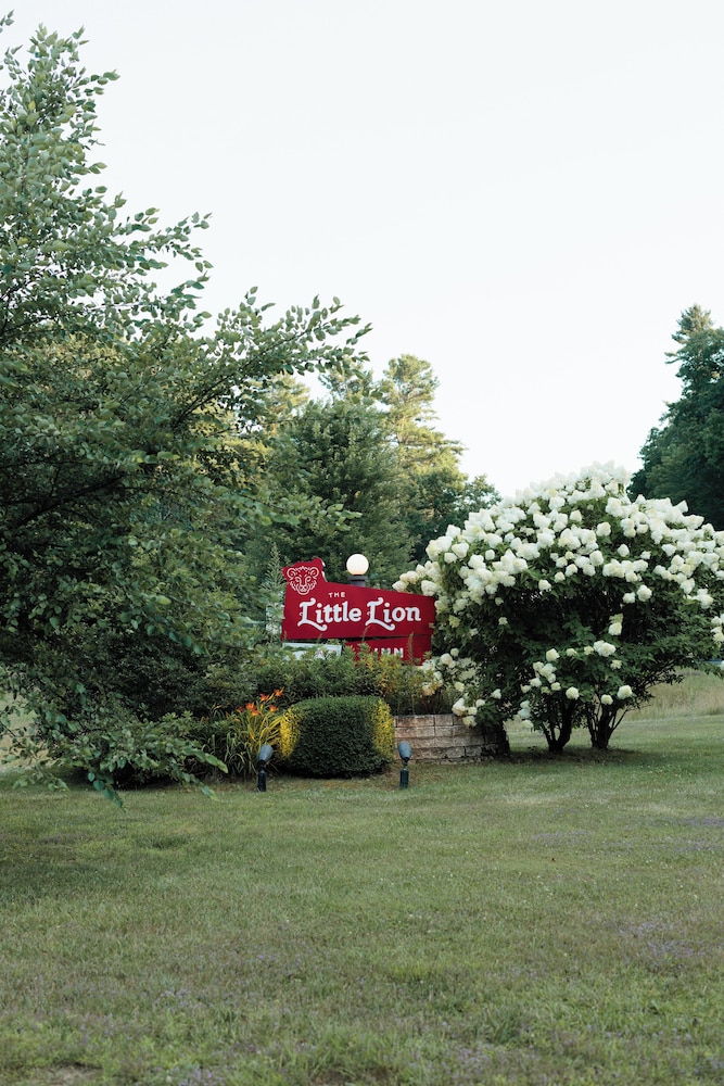 The Little Lion - photo 30