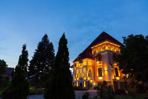 Casa Danielescu — Targu Jiu — photo 3