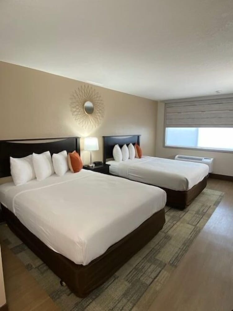 Stanford Inn & Suites Anaheim - photo 7