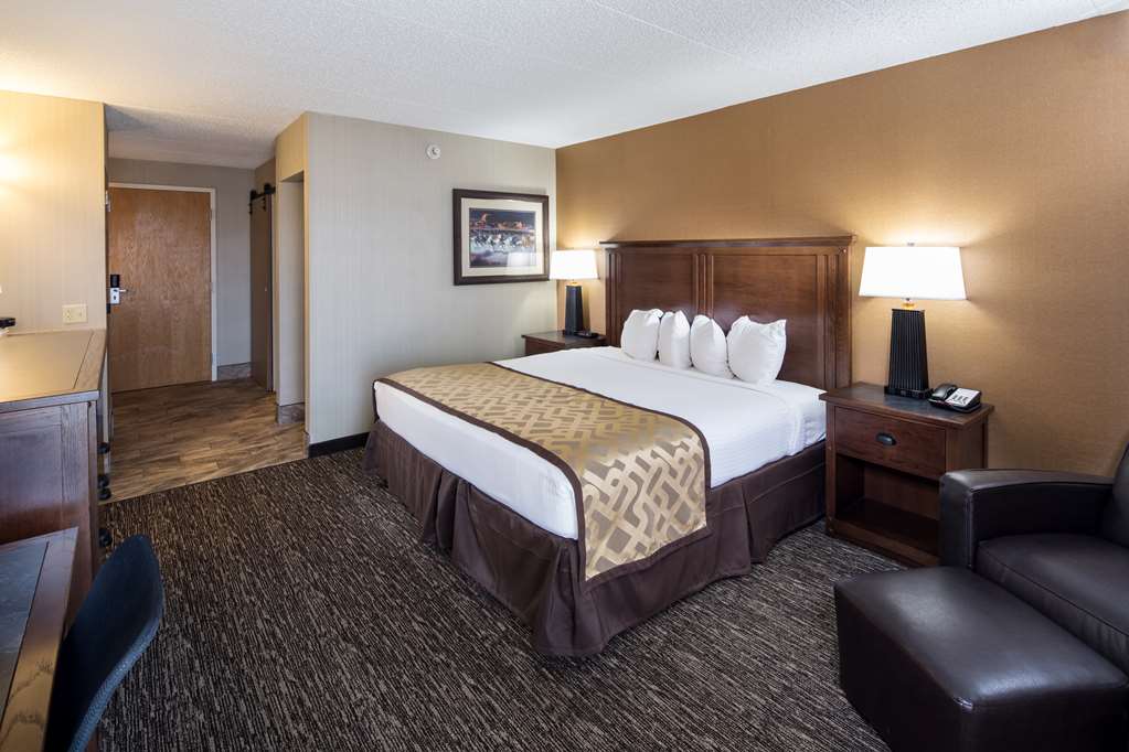 Best Western Ramkota Hotel - photo 3