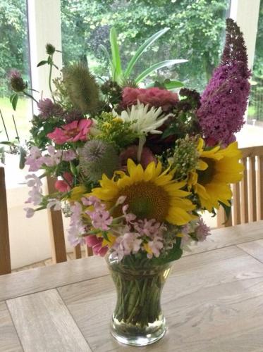 Ørbakke Søborg Sø in Graested, Denmark