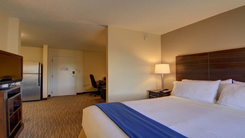 Holiday Inn Express & Suites Alpharetta Windward Parkway an IHG Hotel - photo 3