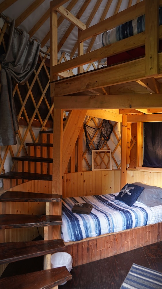 Nauti Otter Inn - photo 42