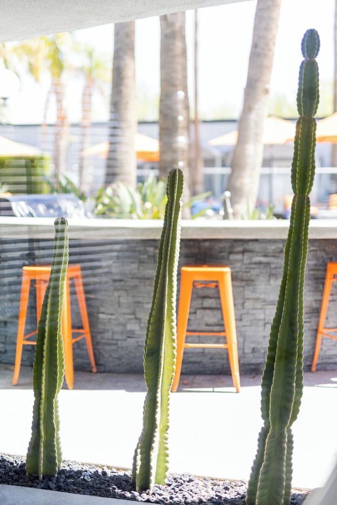 The Palm Springs Hotel - photo 42