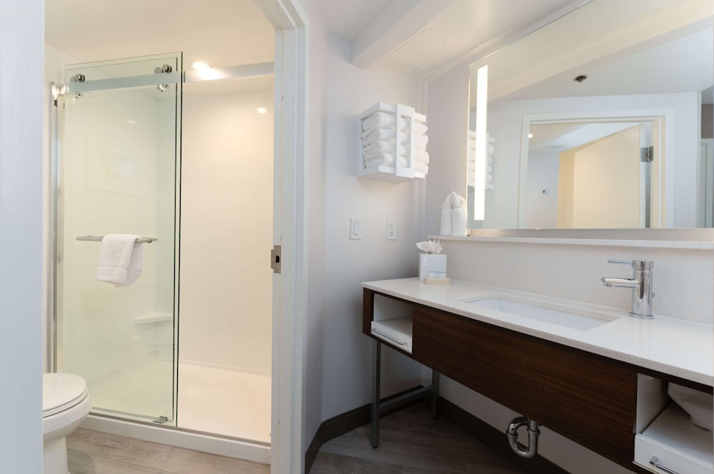 Hampton Inn & Suites Arlington Crystal City DCA - photo 42