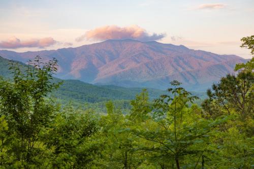 True Log Cabin With Stunning Views Hot Tub Sauna — 4-Star Luxury Hotel in Gatlinburg, United States