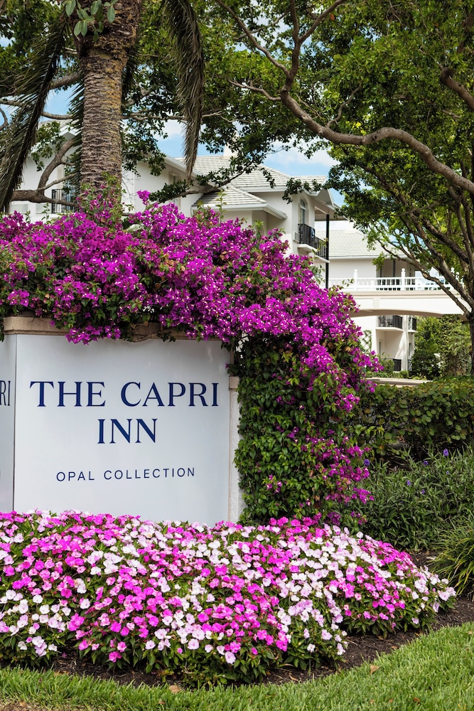 The Capri Inn - photo 43