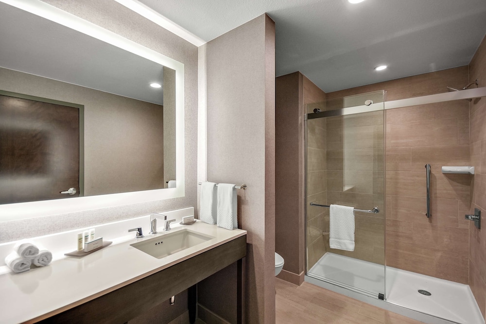 Embassy Suites by Hilton Jonesboro Red Wolf Convention Center - photo 29