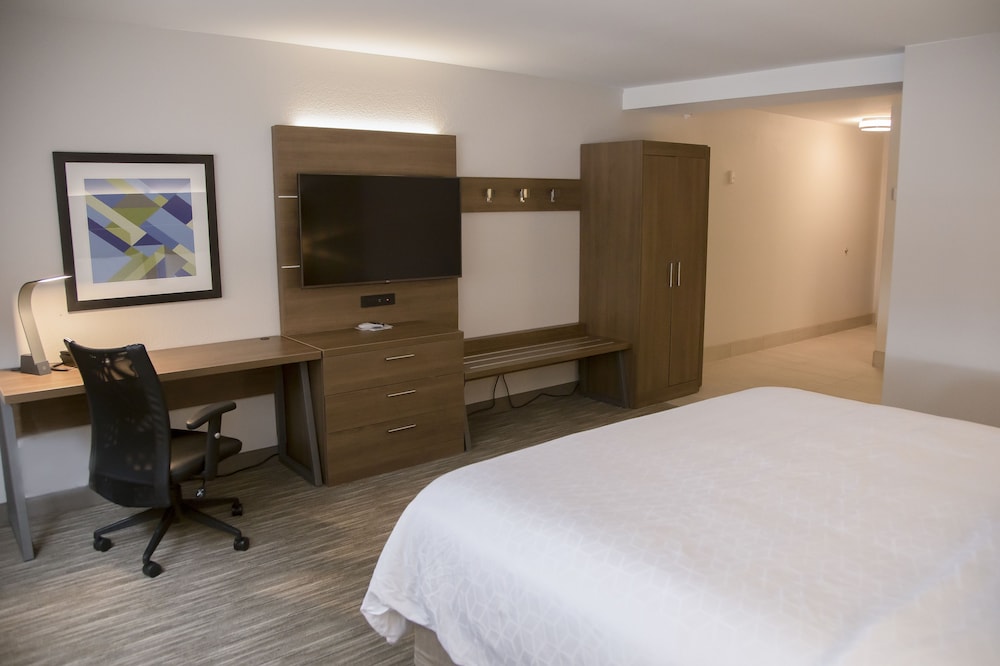 Holiday Inn Express & Suites Colorado Springs North by IHG - photo 7