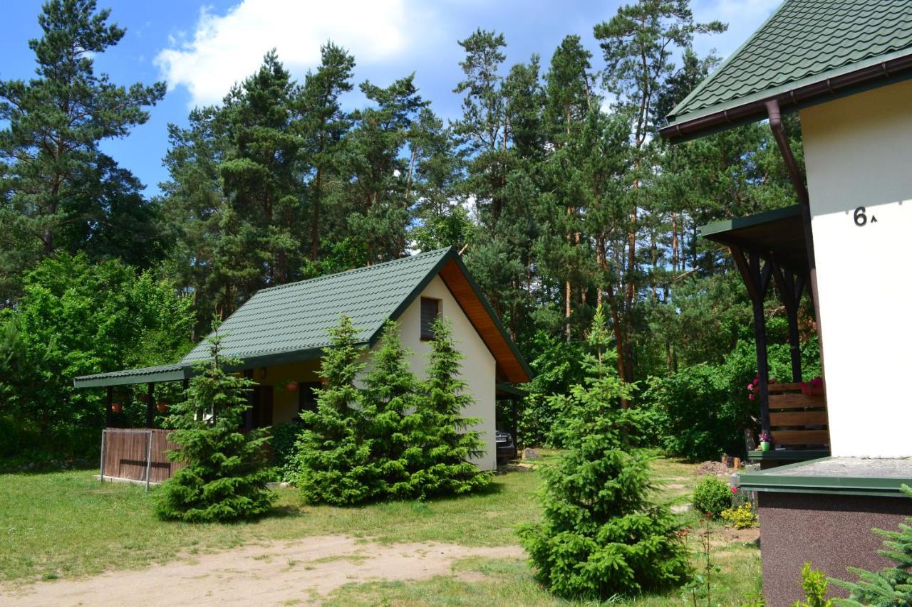 Domek W Sajenku — Augustow — photo 3