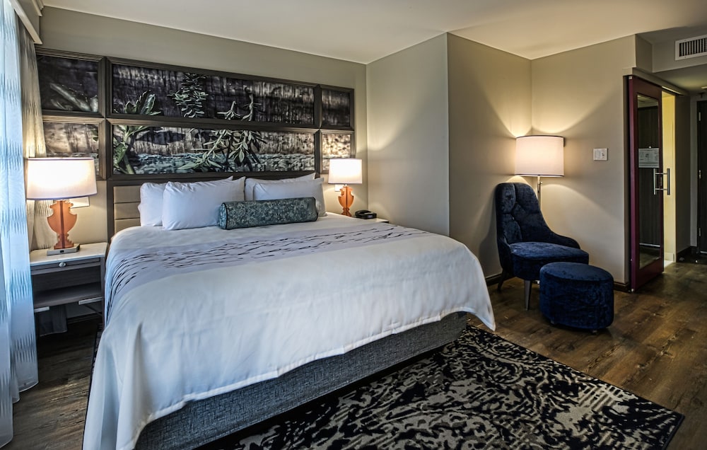 Hotel Indigo Birmingham Five Points S UAB by IHG - photo 11