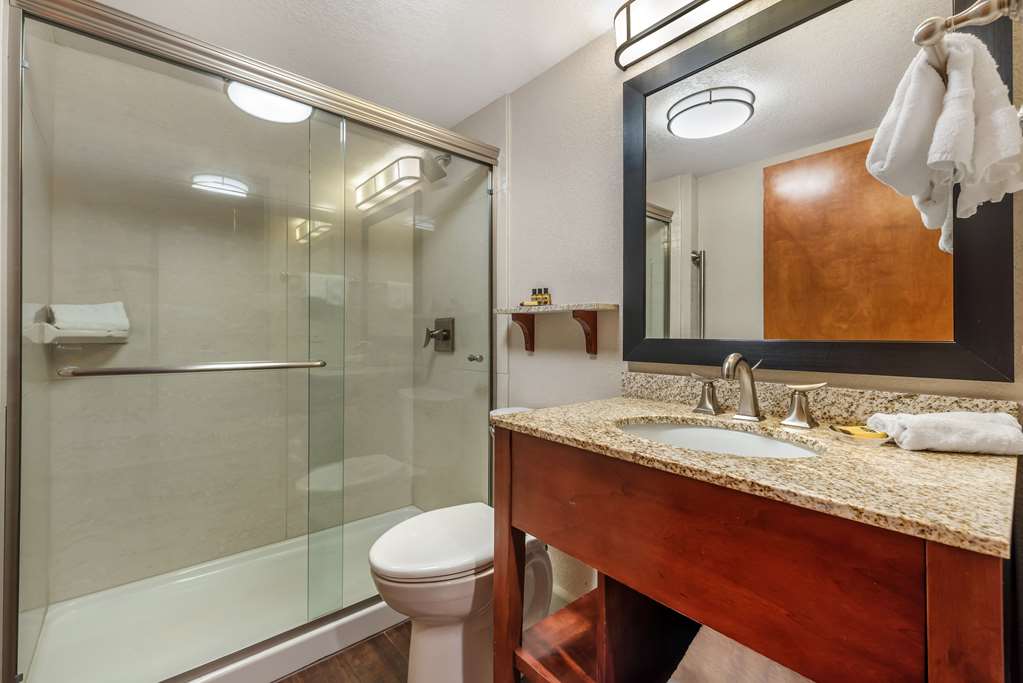 Best Western Plus Peak Vista Inn & Suites - photo 39