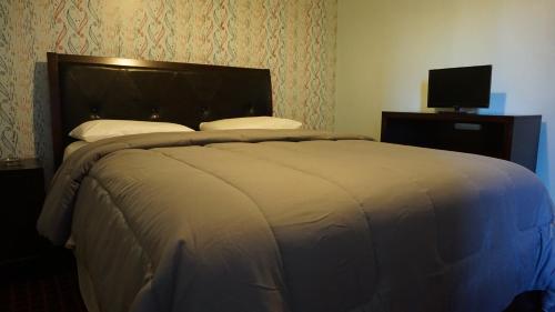 Bel Air Hotel - photo 2