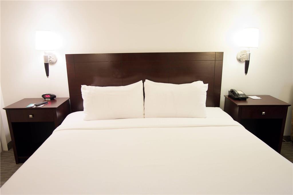 The Volare an Ascend Collection Hotel - photo 31