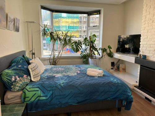 City Center Rooms With Shared Facilities By Umcg — Groningen