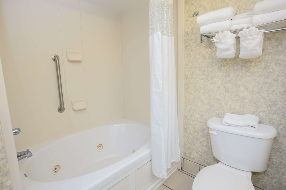 Hampton Inn Williamston - photo 7