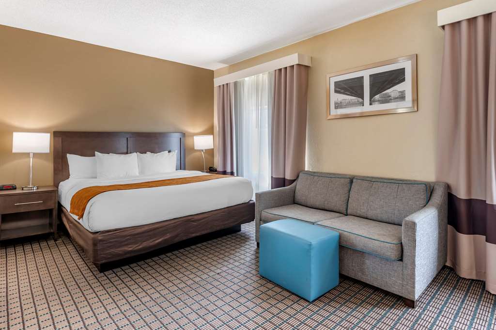 Comfort Inn & Suites Cincinnati Uptown Clifton - photo 19