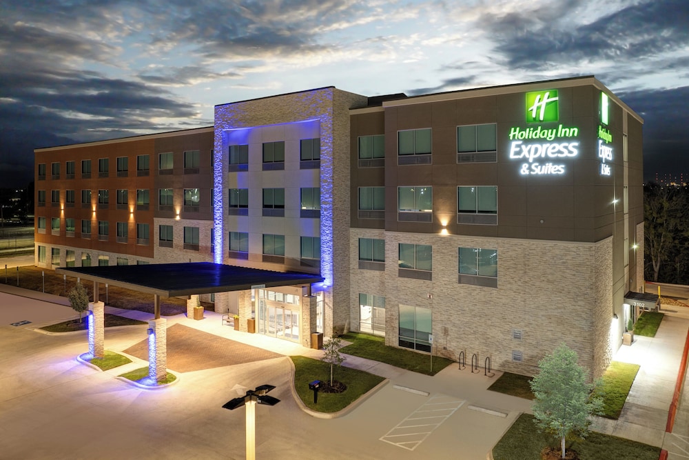 Holiday Inn Express & Suites Austin Airport East by IHG - photo 64