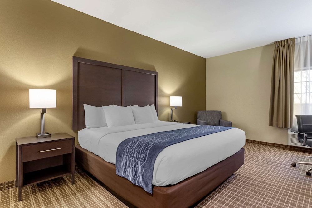 Comfort Inn St. Robert Fort Leonard Wood - photo 4