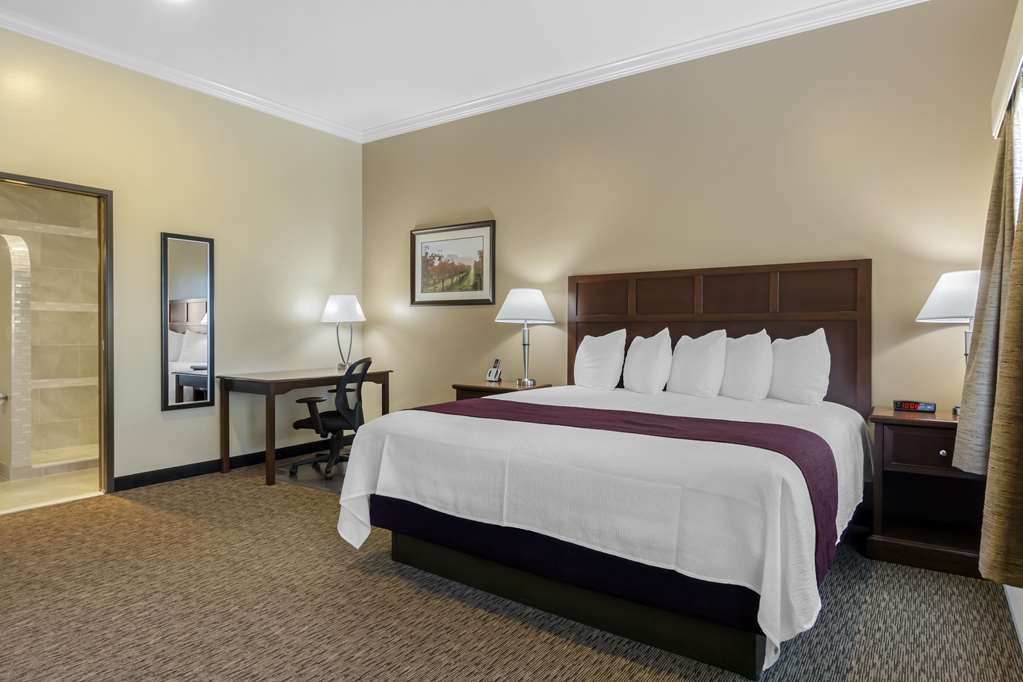 Best Western Plus Grapevine Inn - photo 15