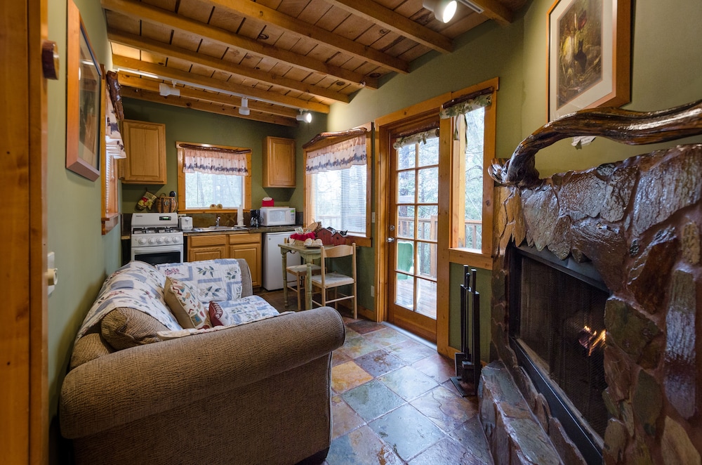 Idyllwild Bunkhouse - photo 23