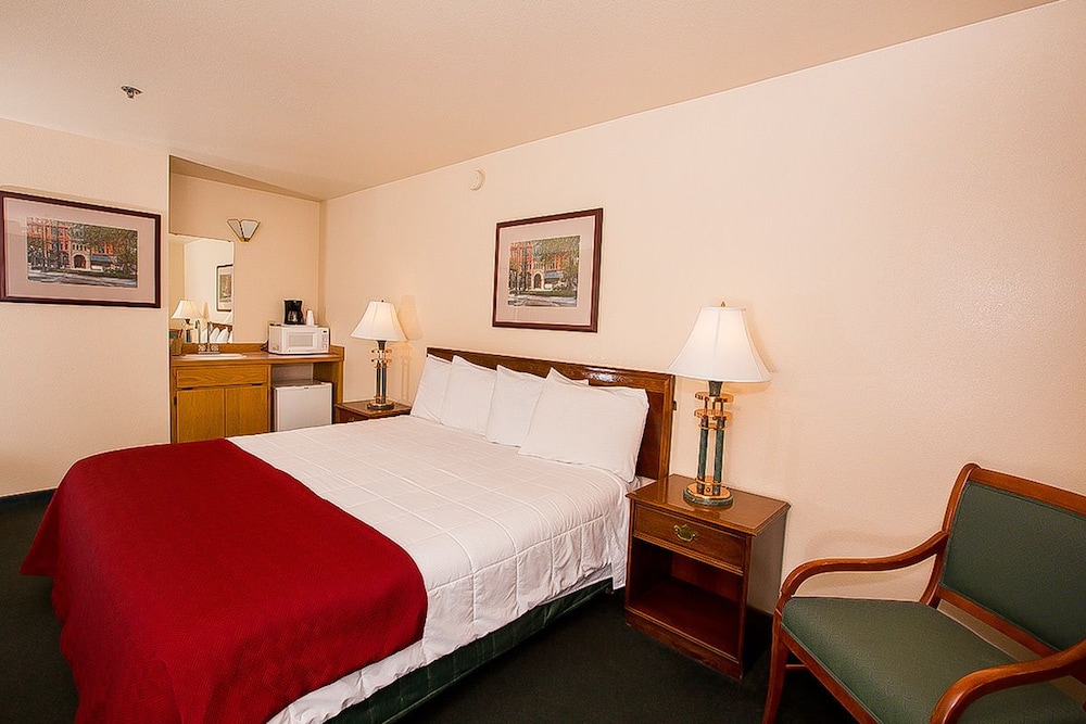 Village Inn & Suites - photo 10