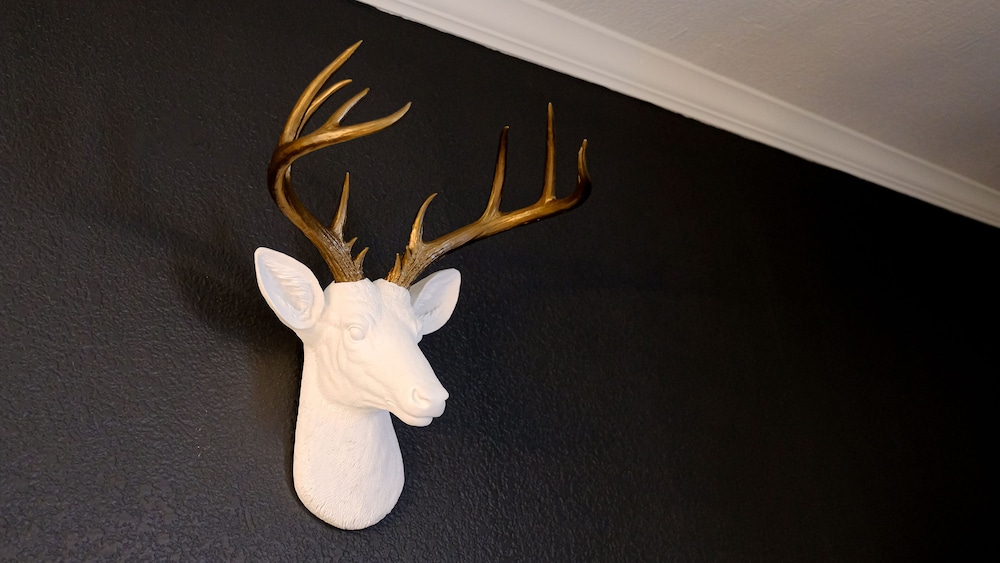 Tapatio Springs Hill Country Resort - photo 5