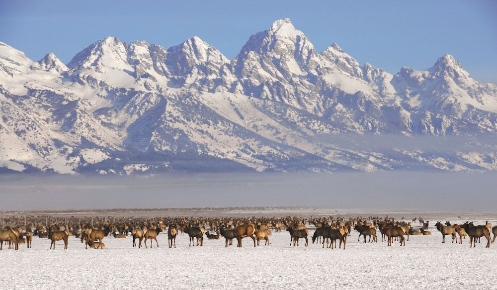 Four Seasons Resort Jackson Hole - photo 228