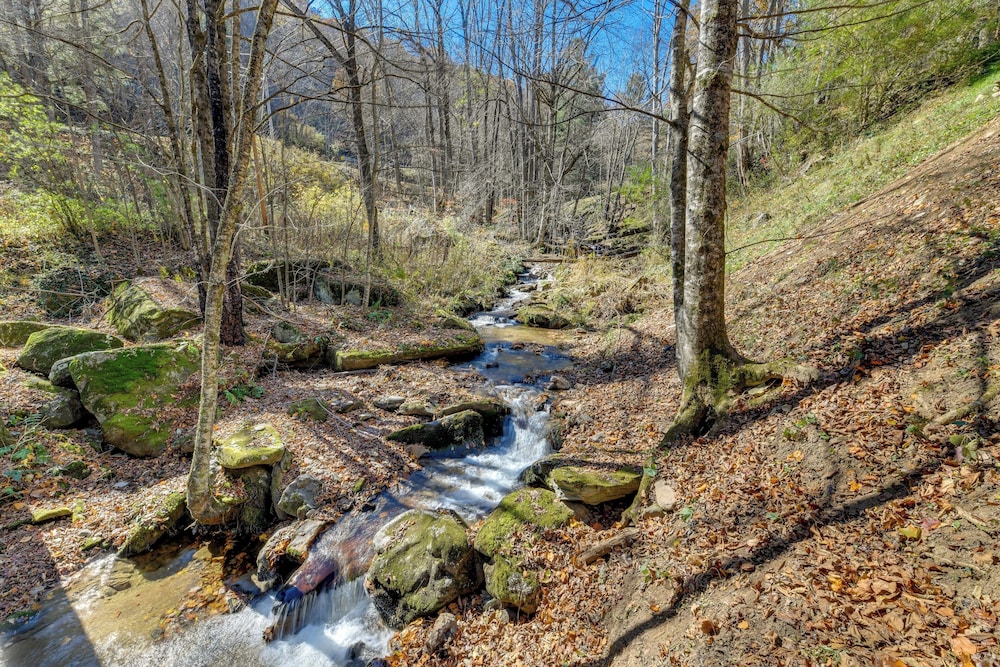 Rustic Cabin on Hemphill Creek w Fire Pit & Grill - photo 2