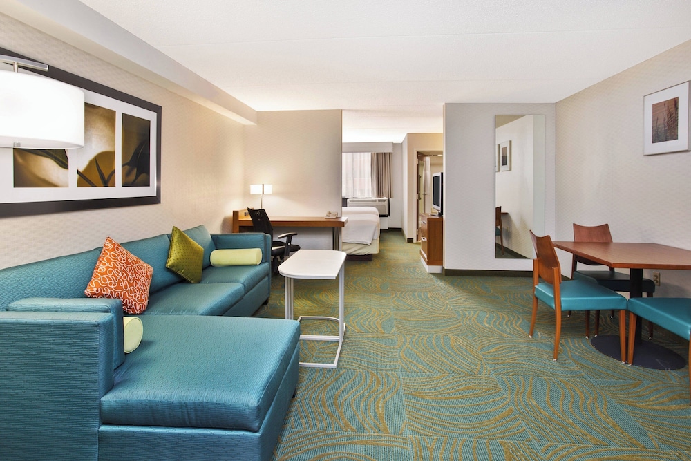 Springhill Suites by Marriott Chicago Elmhurst Oakbrook Area - photo 18