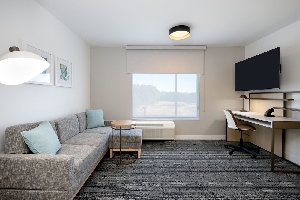 TownePlace Suites by Marriott Canton Riverstone Parkway - photo 13