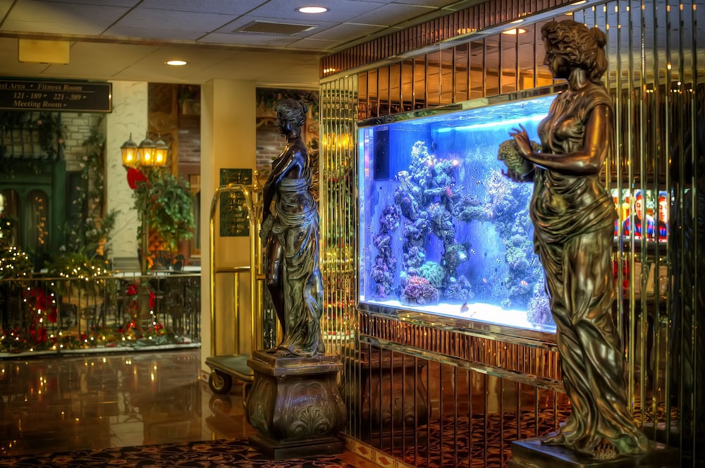 Garden Place Hotel - photo 3