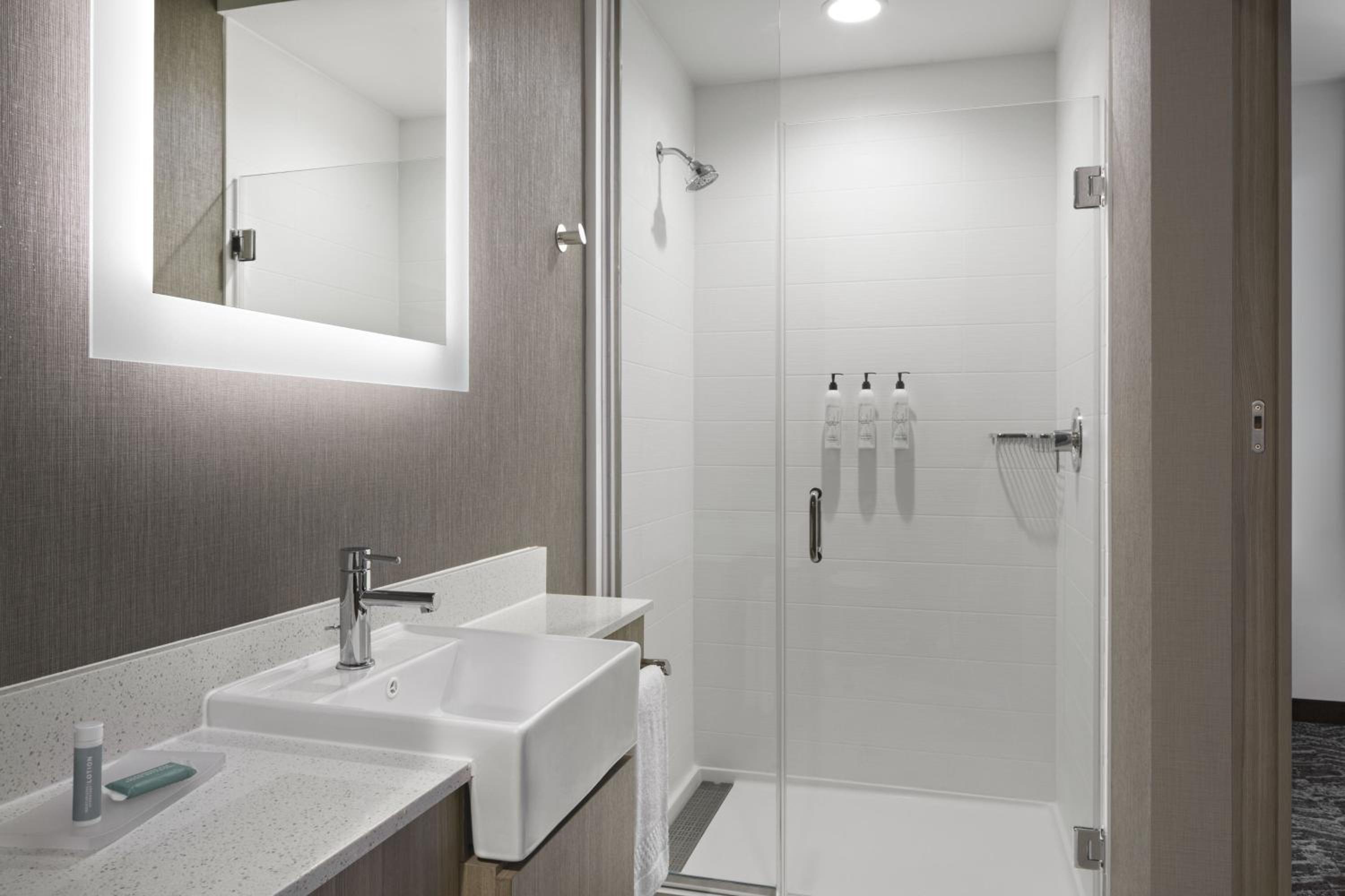 SpringHill Suites by Marriott Kalamazoo Portage - photo 28