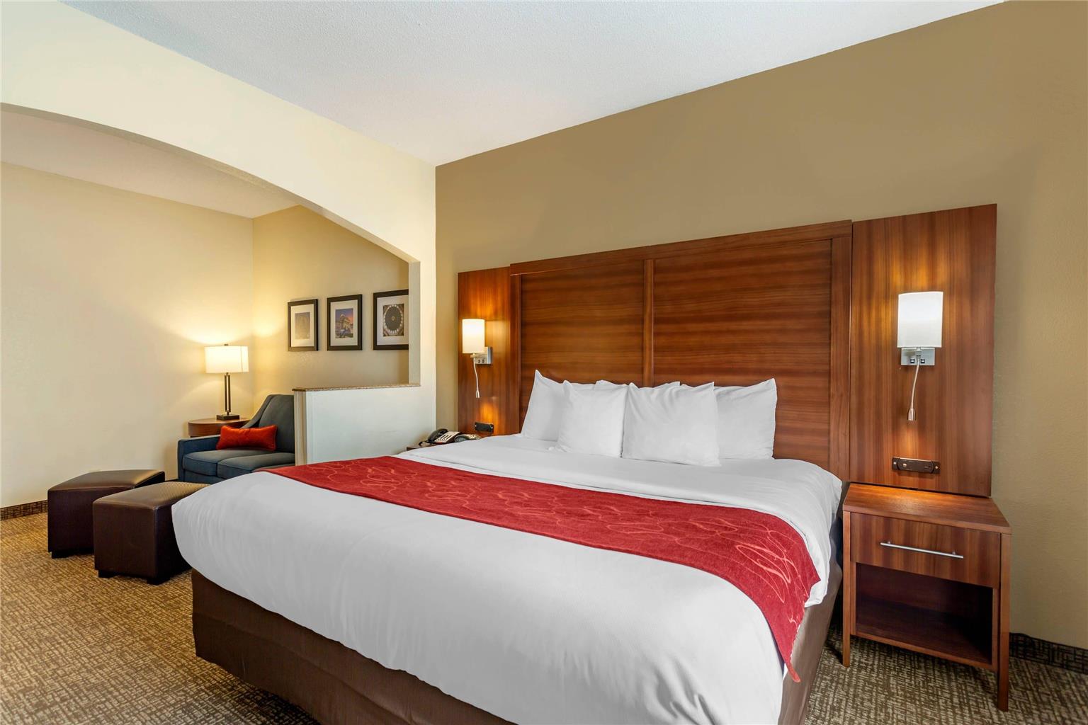 Comfort Suites Southaven Memphis South - photo 6