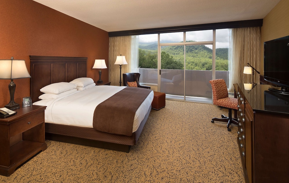 The Park Vista a DoubleTree by Hilton Hotel Gatlinburg - photo 10