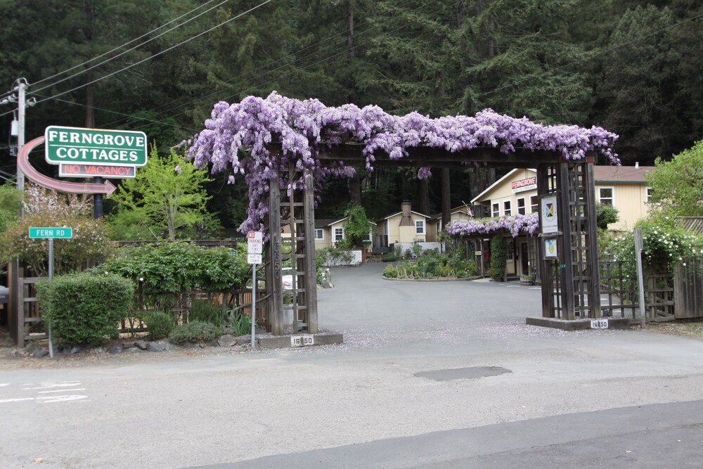 Fern Grove Cottages - photo 80