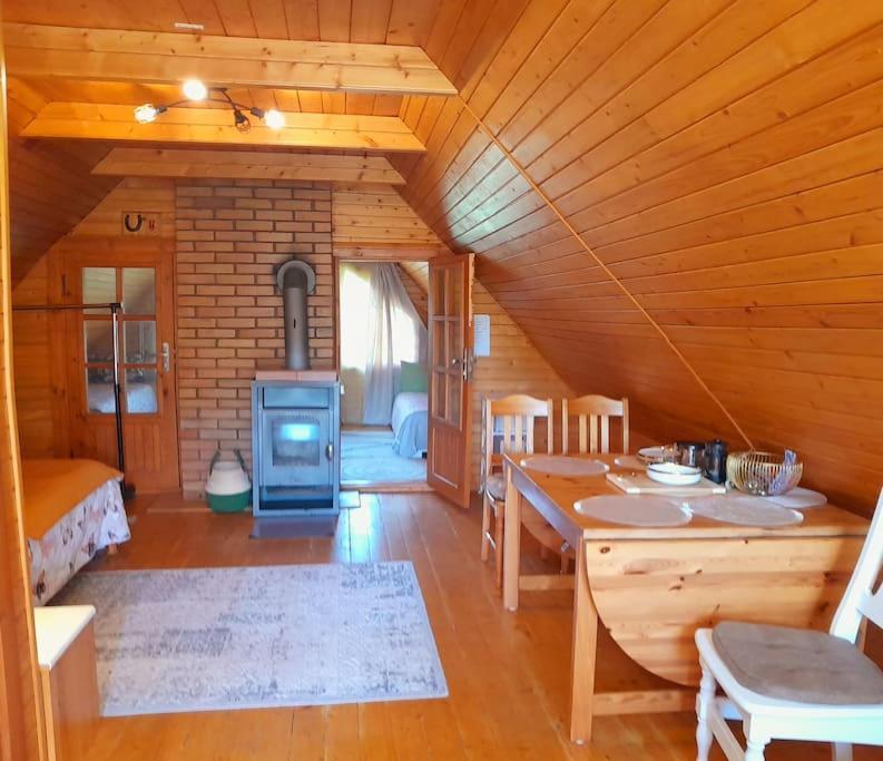 Öökulli öömaja in Tartu, Estonia