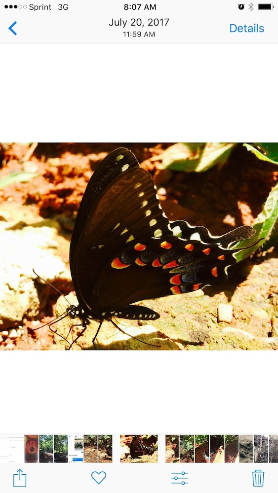 Mountain of Dreams At Lavista Cove - photo 18