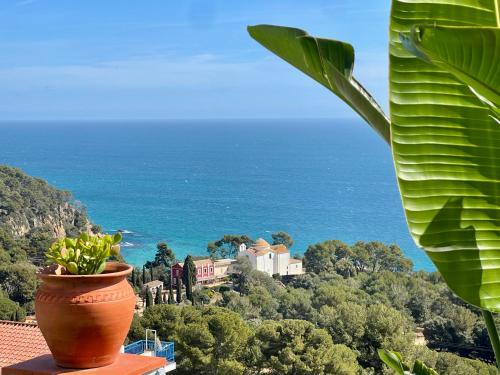 LA CASA BLUE Mediterranean Boutique Villa in Santa Cristina Beach — 5-Star Luxury Hotel in Blanes, Spain